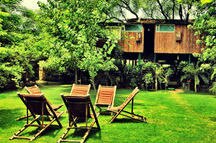 Private Gardens at The Tree House Resort Private Gardens at The Tree House Resort